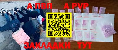 прущие грибы Можга