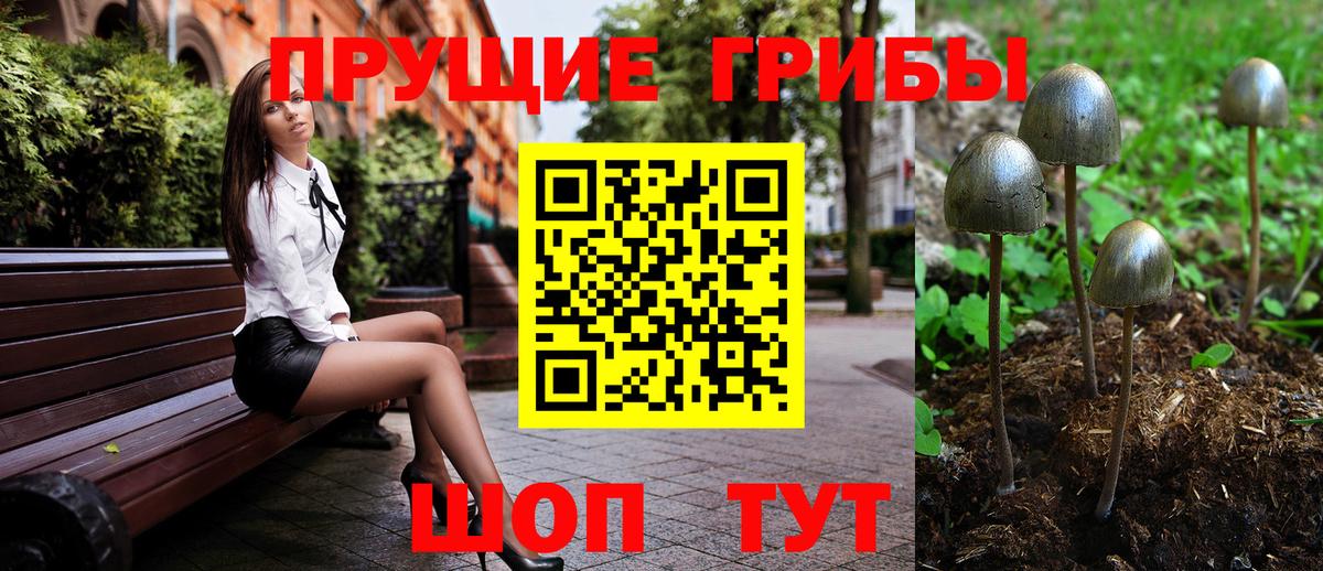 Галлюциногенные грибы GOLDEN TEACHER Верхний Уфалей